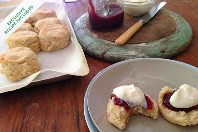 gluten-free scones with homemade jam and cream
