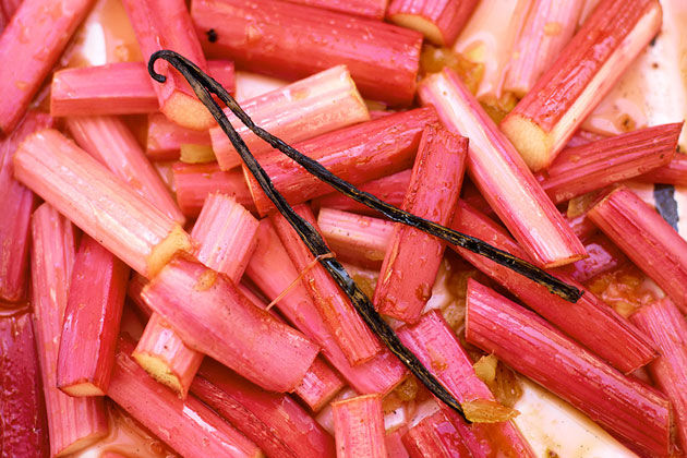 a scatter of rhubarb