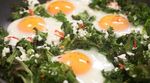 Green eggs, no ham: Tobie Puttock