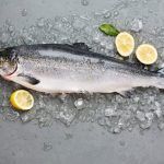 salmon dishes - a large salmon surrounded by slices of lemon and ice