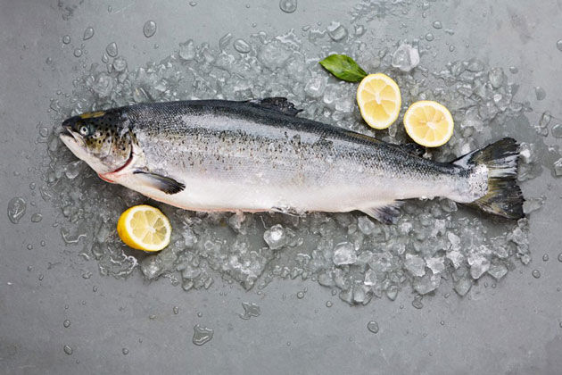 salmon dishes - a large salmon surrounded by slices of lemon and ice