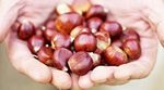 How to roast chestnuts: Jamie Oliver’s food team