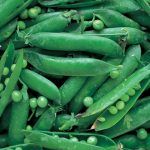 Seasonal vegetables: Peas