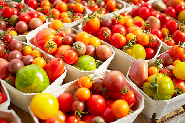 Array of tomatoes for ripe tomatoes recipe ideas