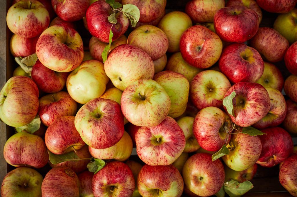 Apple recipes – lots of seasonal apples in a wooden box