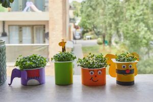 Grow your own vegetables at home