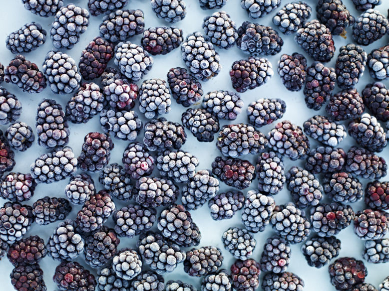 Many frozen blackberries laid out on a table