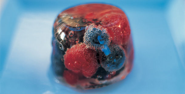 elderflower jelly ice with berries inside
