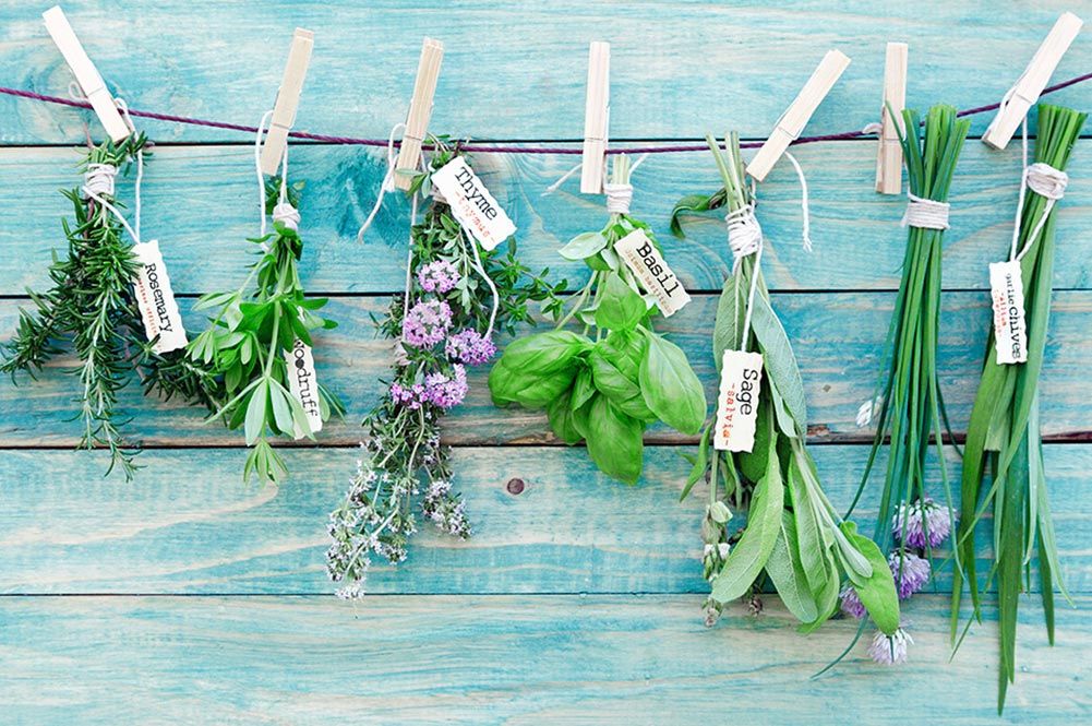 fresh herbs hanging on a line labelled
