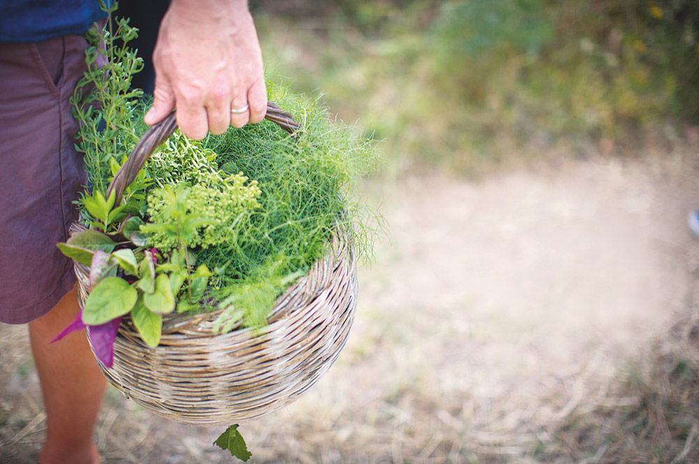 a basket filled with green herbs and veg