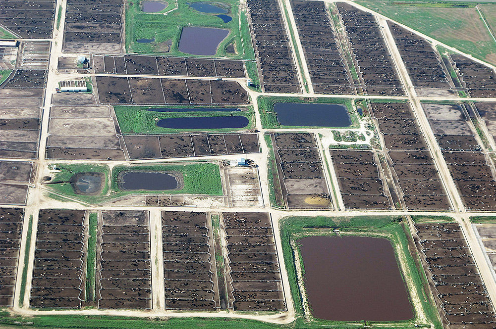 TTIP aerial image of field