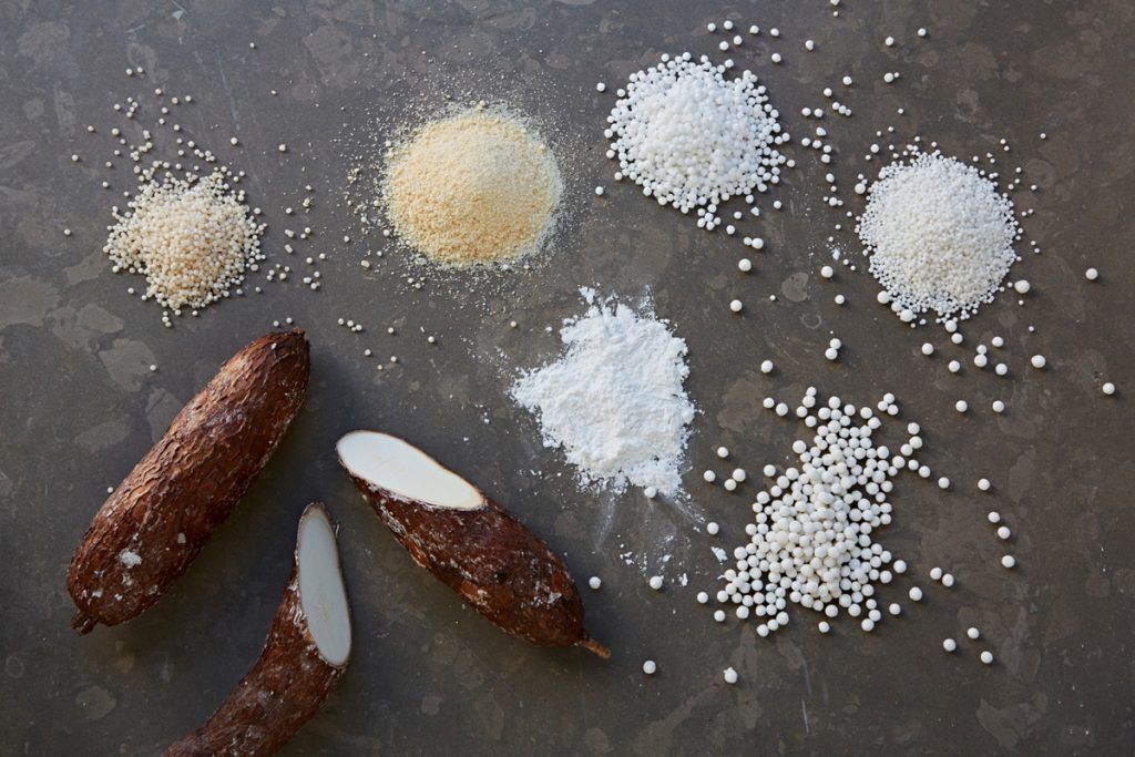 tapioca or cassava chopped in half and also as grains