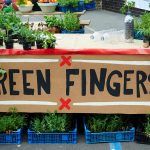 aquaponics farming - green fingers