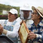 save our bees campaign - bee farmers