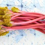 rhubarb stems grouped together