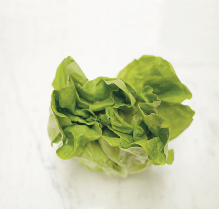 round lettuce
