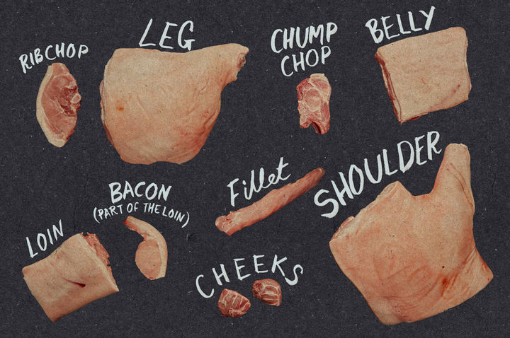 cuts-of-pork-butchery-image-001