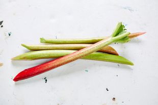 5 ways with forced rhubarb