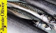 How to fillet sardines: Jamie Oliver