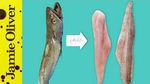 How to fillet fish: Bart’s Fish Tales