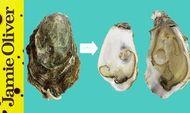 How to open oysters: Bart van Olphen