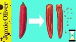 How to de-seed a chilli: Jamie Oliver