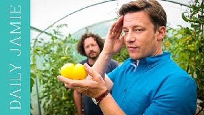 Let’s talk about tomatoes: Jamie Oliver