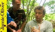 Wild mushroom on toast with shaved truffle: Jamie Oliver