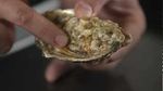 How to shuck oysters: Jamie’s Food Team